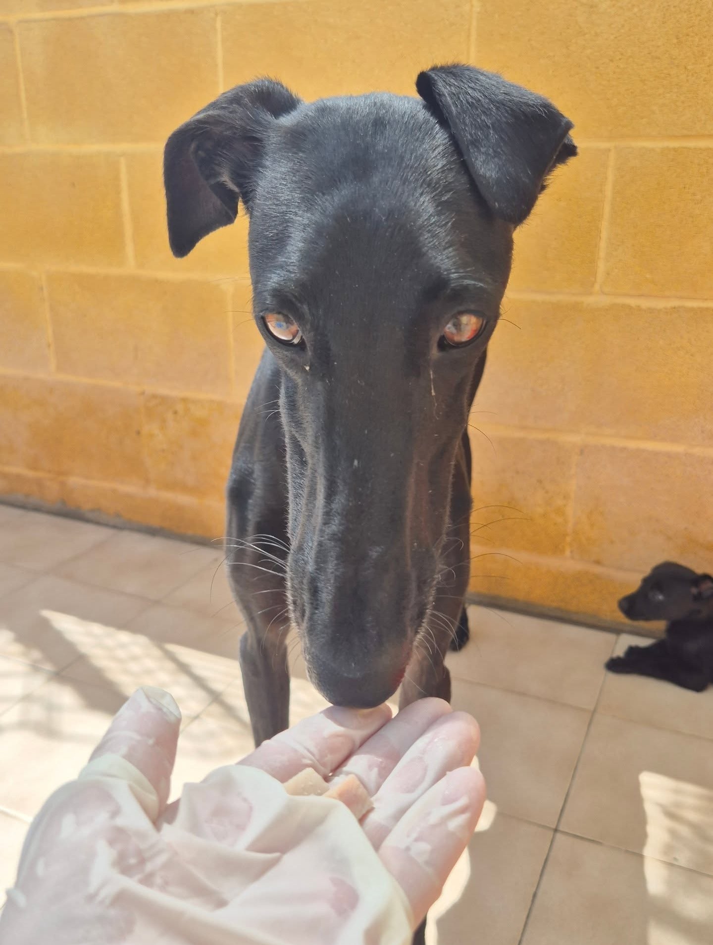 498685179_18056683793214834_5429098422053118648_n