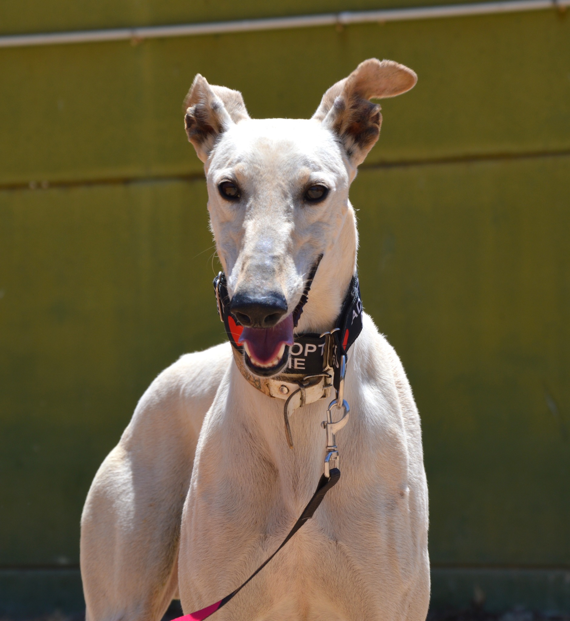 516510107_2666105167055022_2631768108927743622_n